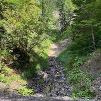 Bachlauf