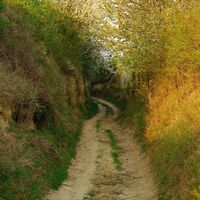 Hohlweg Wagram