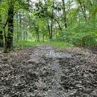 Mit GPS weiter