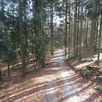 Im Abstieg auf Weg Nr. 10