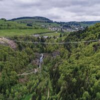 Blackforestline Hängeseilbrücke