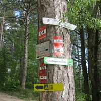 Bad Vöslau - Hoher Lindkogel - Baden