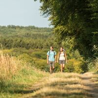 Auf dem Bohrsberg bei Freilingen