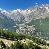 Furwald Singletrail