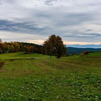 Blick auf Neukirchen und Ötscher