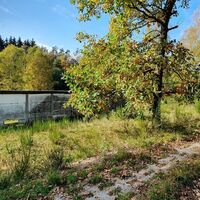 Abstecher auf dem Kolonnenweg zur Görsdorfer Mauer
