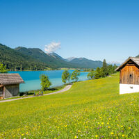 Weissensee Nordufer