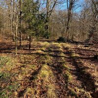 Trail Tour 47