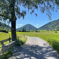 Forstweg Richtung Hündle