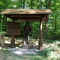 Lothar - Ameisenpfad Allensbach