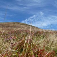 Farbenfrohe, herbstliche Bergwiesen am Hochsonnberg.
