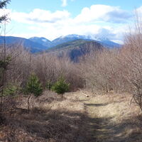 Abstieg nach Stixenstein