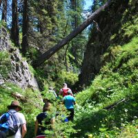 wanderung durch die notgassen-schlucht_img_15623259