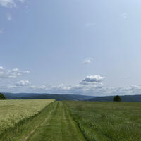 Elfershausen
