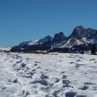 Schneeschuhtrail-Panoramawegtrail