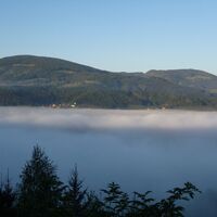 Lavamünd im Nebel