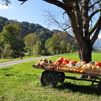 Ab hier geht es wieder zurück nach Flums