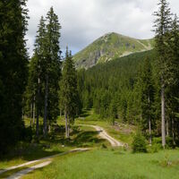 es geht nur mehr den markierten Steig zum Parkplatz zurück, ein letzter Rückblick zum Schrimpfkogel