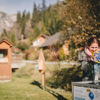 Interaktive Stationen am Erlebnisweg "klimawandeln"