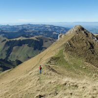 Ochsensattel - Gipfelwanderung Ochsen