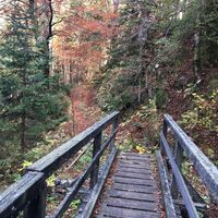 Montag, 21. Oktober 2019, 15:09 Uhr