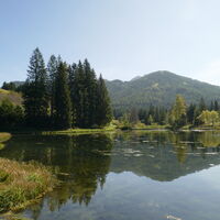 am unteren Teich angekommen