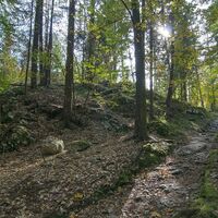 Laufen