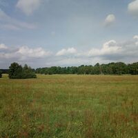 Wiesen am Naturerlebnispfad Guttauer Teiche und Olbasee