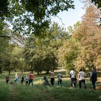 Führung am Kirschenberg