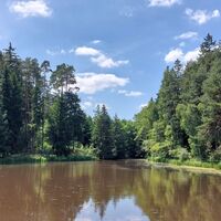 Weiherlandschaft um Schnepfenmühle