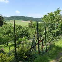 Gärten mit Blick auf den Pfefferberg
