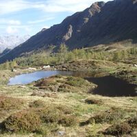 Kleiner Bergsee am Wegrand