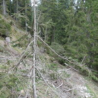 Aufstieg aus dem Tal Rio della Malga