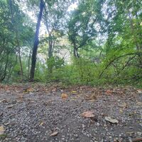 Flora und Fauna