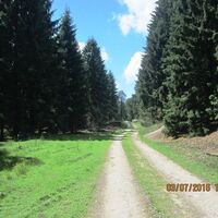 in den weiten Wäldern des Winnfeldes
