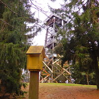 Kirchschlag i. d. Buckl. Welt - Tauchen