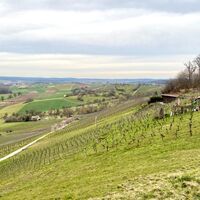 Weitblick über die Weinberge am Derdinger Horn