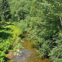 Kinzig