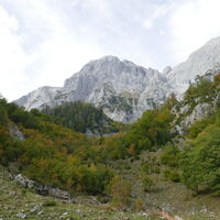 kurz bevor wir zum Schneelochweg stoßen
