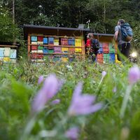 Bienenhaus bei Brezje