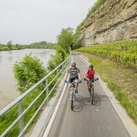 Neckartal-Radweg Lauffen am Neckar