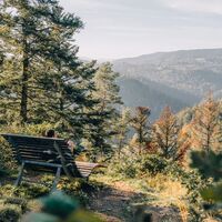 Rappenfelsensteig mit Himmelsliege
