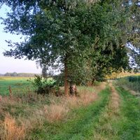 Naturnahes Wandern auf dem ORTSWEG Rund um Buchholz