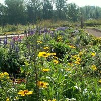 Klimaschutzgarten Gosdorf
