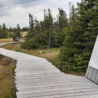 Schwarzriegelmoos Hochmoor (1605m)