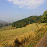 Rennsteig am "Heimatblick"