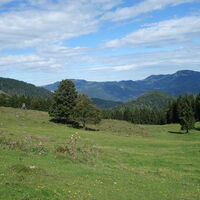 Grabenalm