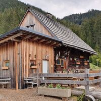 21.6 km Zeiringer Alm