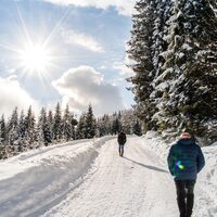 Winterwanderweg Grießenkar