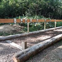 Tierweitsprung-Grube am Erlebnisplatz auf der Karlskuppe bei Eisenach